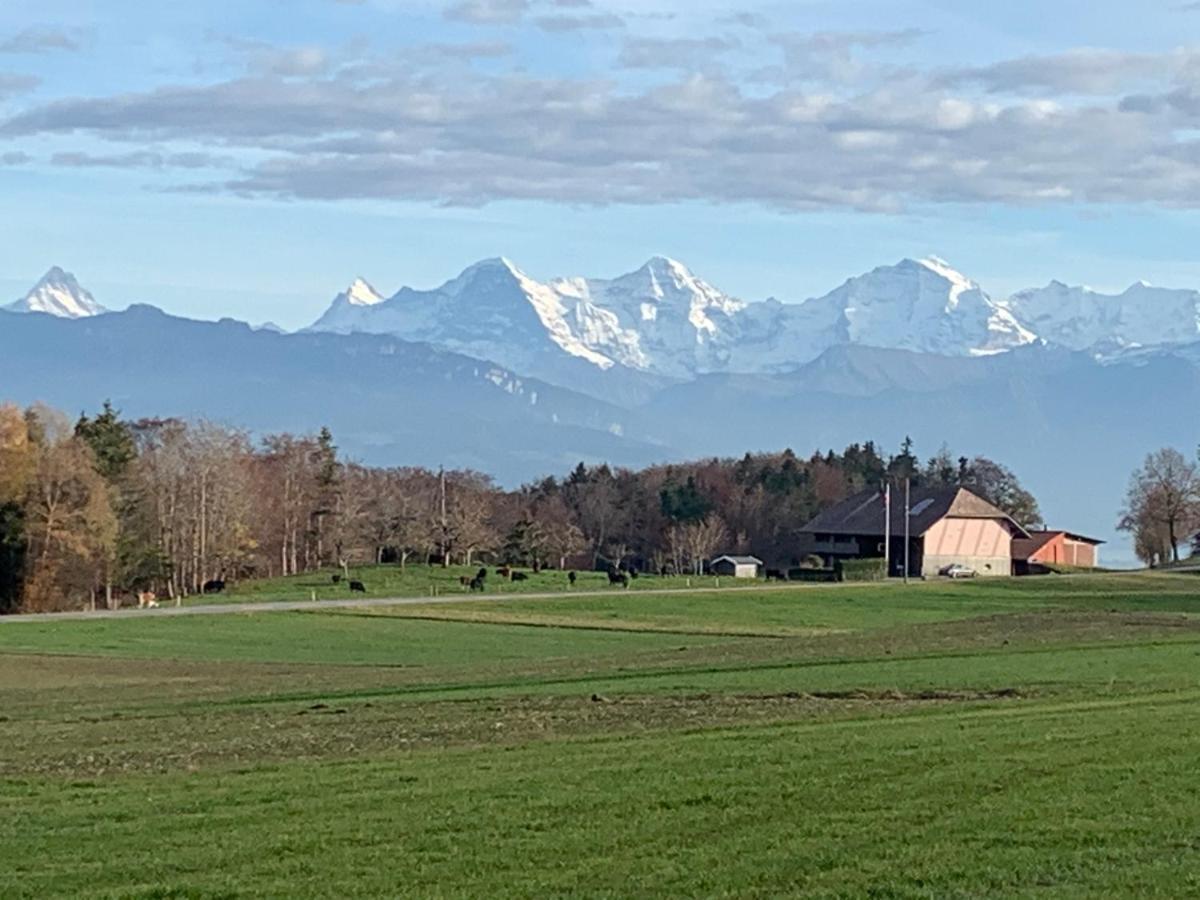 Mountain Home - Ein Aufenthalt Mit Weitblick Niedermuhlern Eksteriør bilde